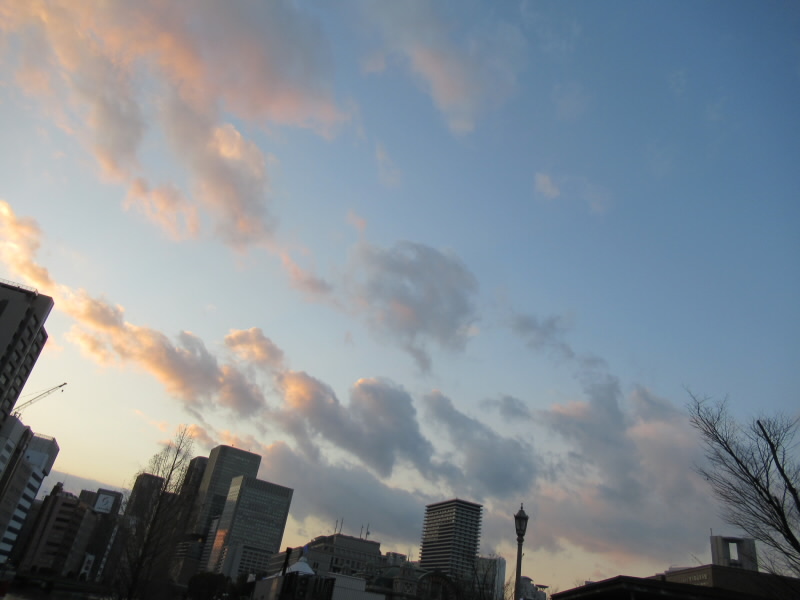 f:id:fjosh524:20210130171802j:plain