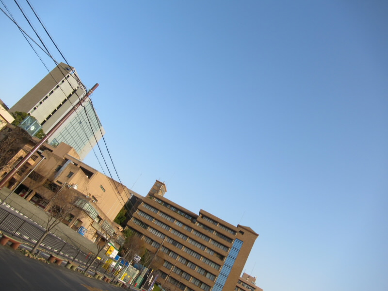 f:id:fjosh524:20210317070515j:plain