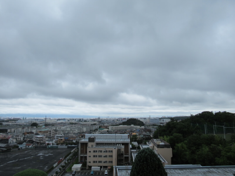 f:id:fjosh524:20210708131954j:plain