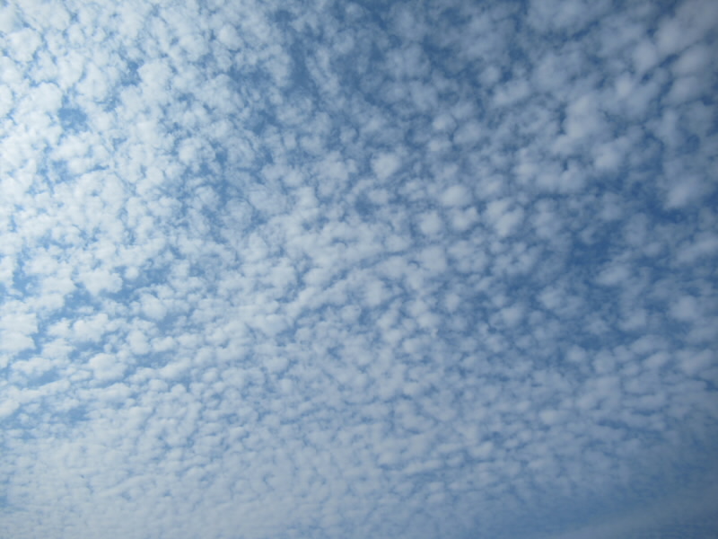 f:id:fjosh524:20210802080156j:plain