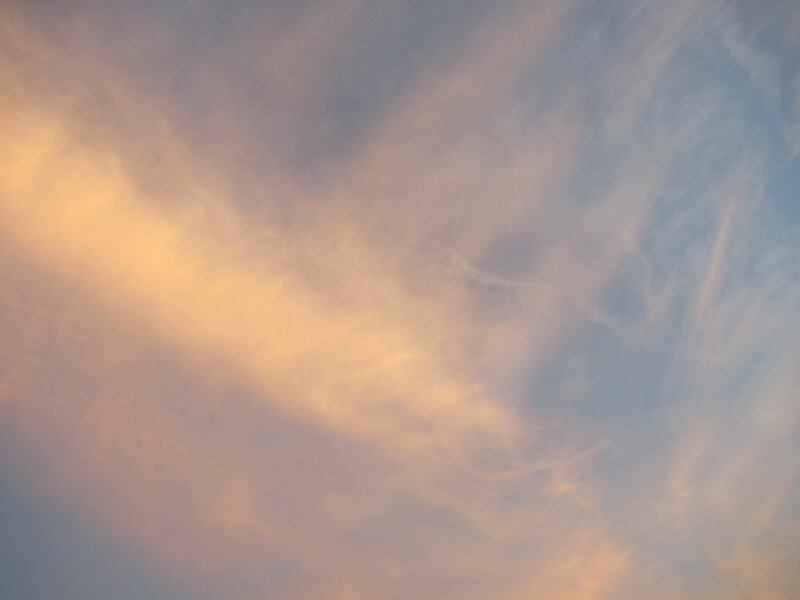 f:id:fjosh524:20210802191139j:plain