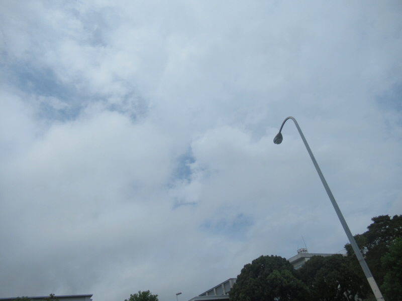 f:id:fjosh524:20210826120527j:plain