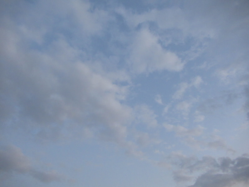 f:id:fjosh524:20210828185520j:plain