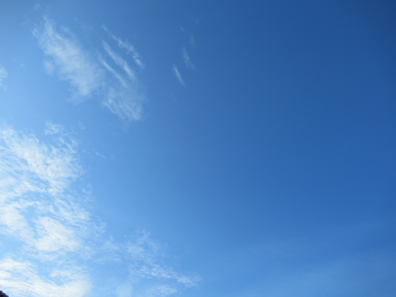 f:id:fjosh524:20210907071341j:plain