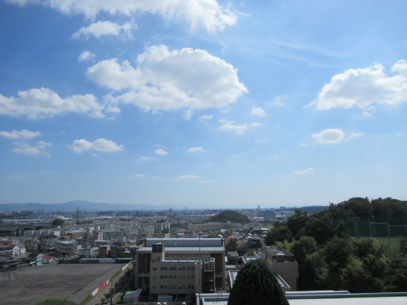f:id:fjosh524:20211005131138j:plain
