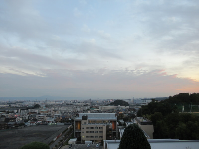 f:id:fjosh524:20211019172641j:plain