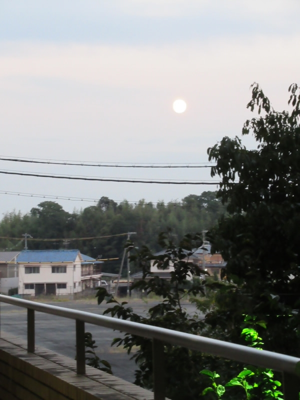 f:id:fjosh524:20211019173133j:plain