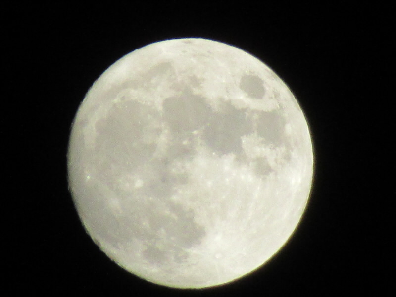 f:id:fjosh524:20211019212807j:plain