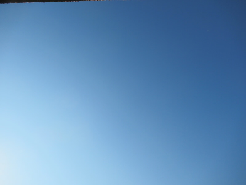 f:id:fjosh524:20211115083158j:plain