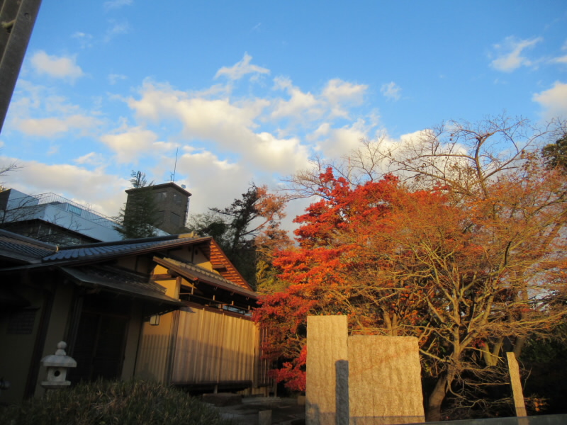 f:id:fjosh524:20211201162735j:plain