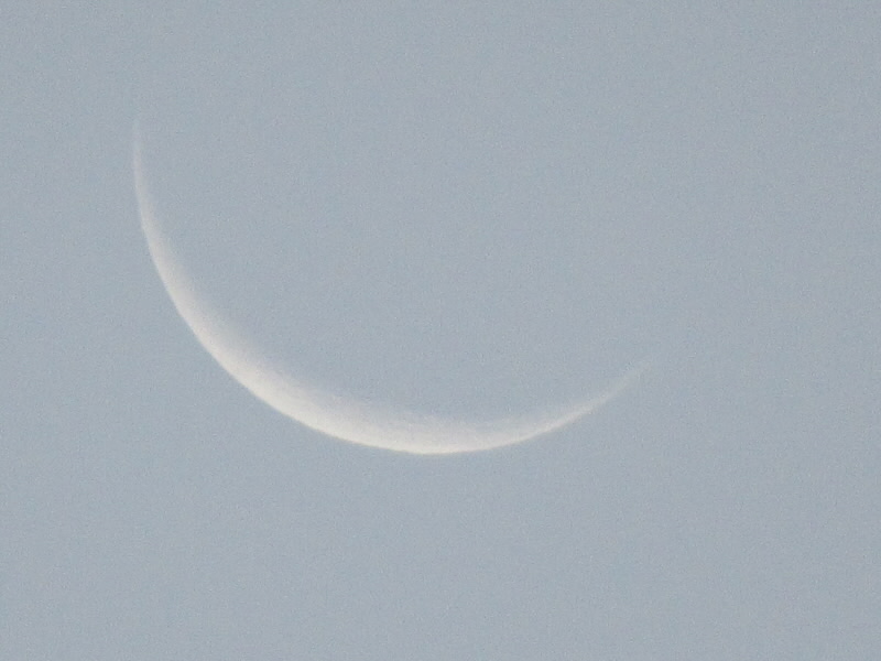 f:id:fjosh524:20211202065925j:plain