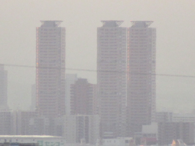 f:id:fjosh524:20211202070838j:plain