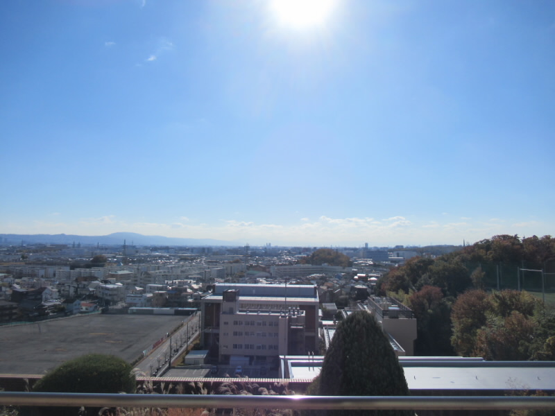 f:id:fjosh524:20211202113215j:plain