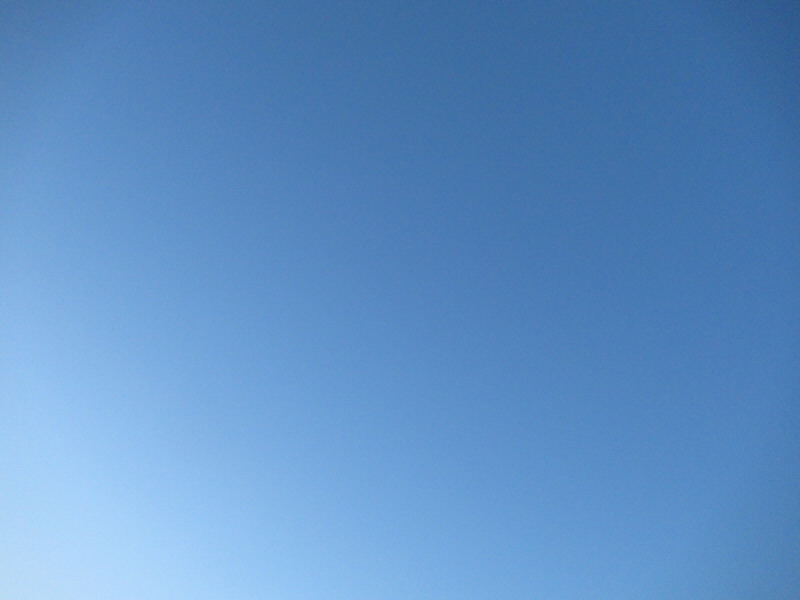 f:id:fjosh524:20211203064226j:plain