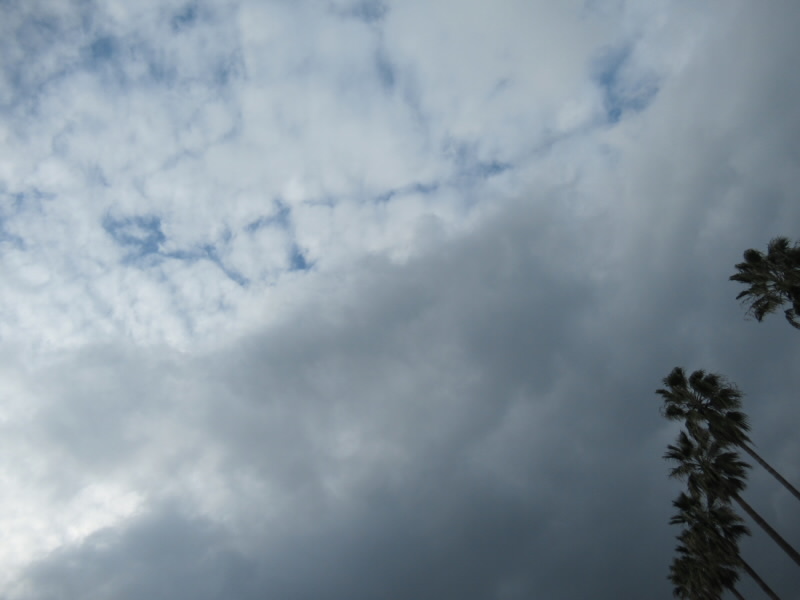 f:id:fjosh524:20211212151205j:plain