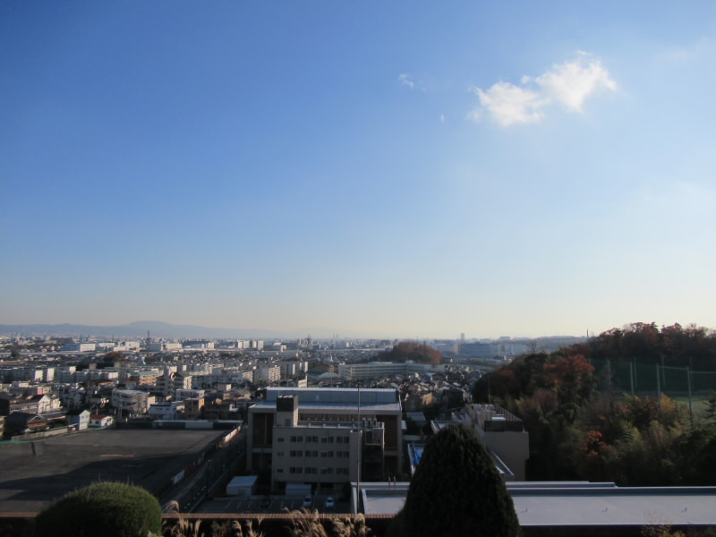 f:id:fjosh524:20211214151643j:plain