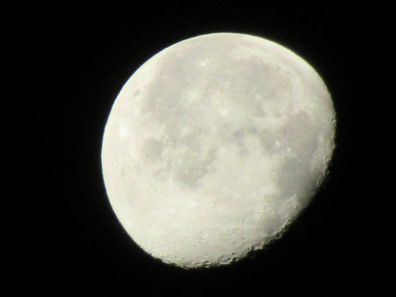 f:id:fjosh524:20211223055817j:plain