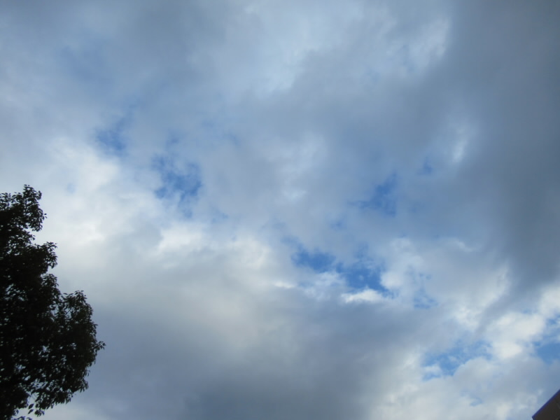 f:id:fjosh524:20211225141704j:plain