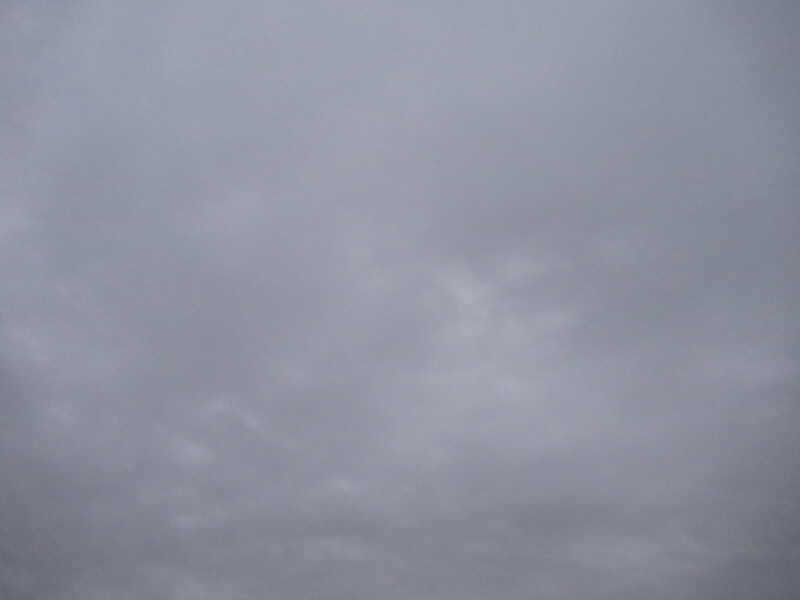 f:id:fjosh524:20211229171741j:plain