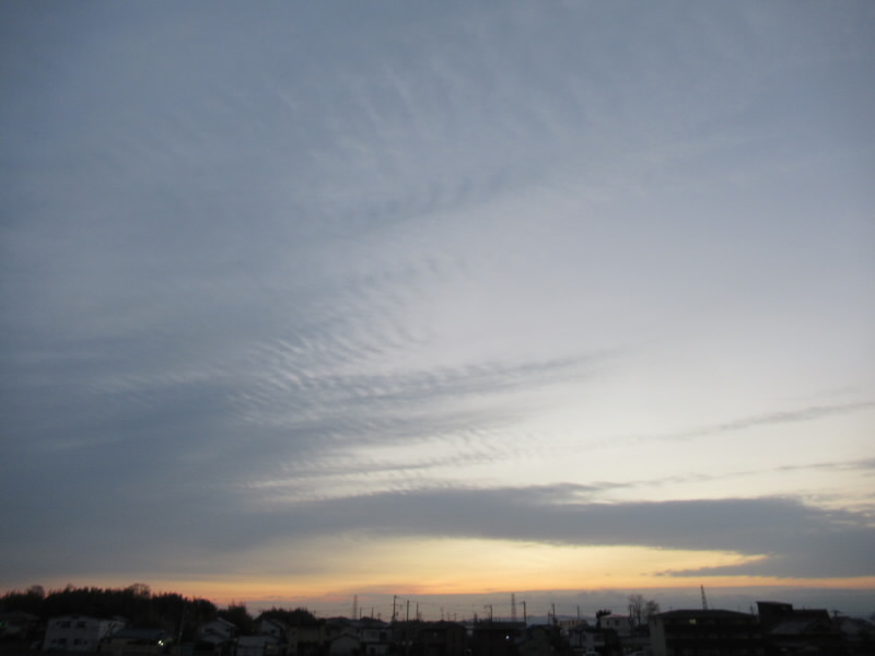 f:id:fjosh524:20220113070138j:plain