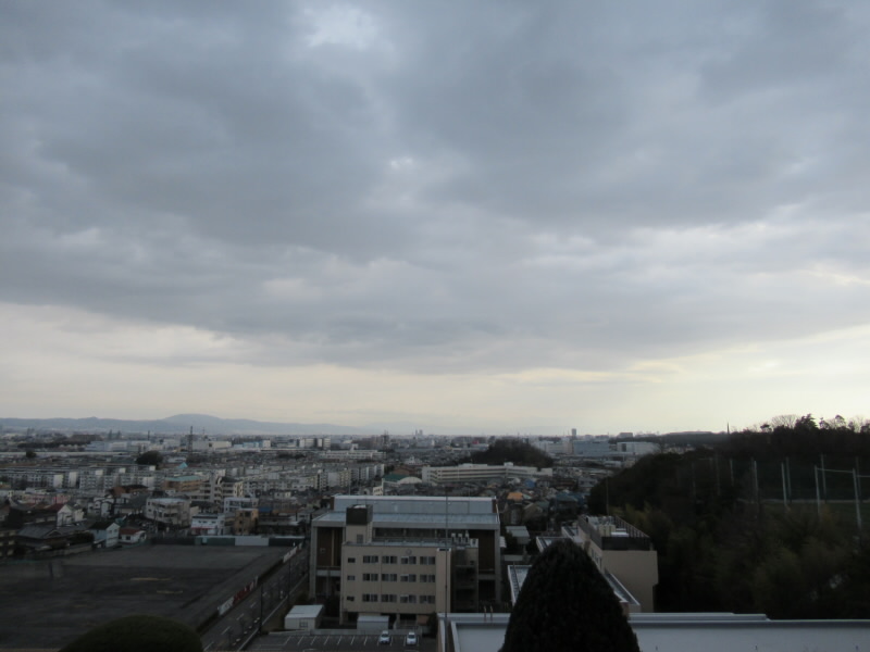 f:id:fjosh524:20220117152326j:plain