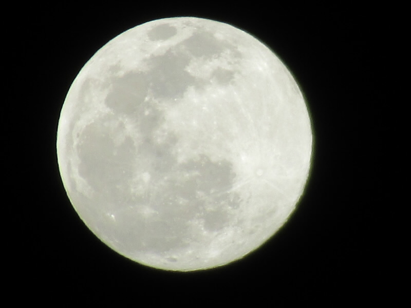 f:id:fjosh524:20220117203020j:plain