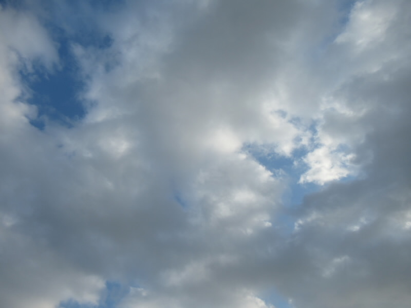 f:id:fjosh524:20220129161350j:plain