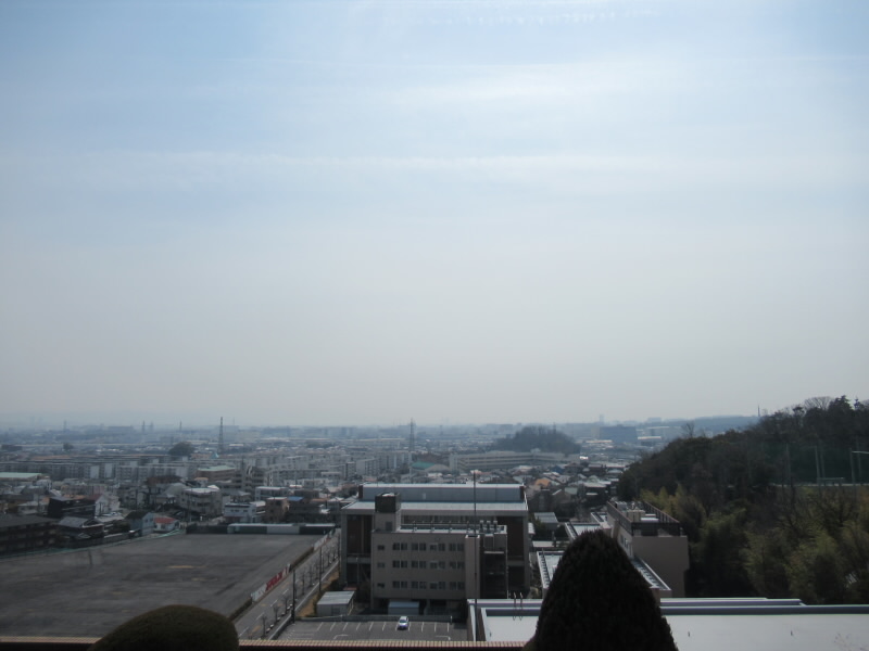 f:id:fjosh524:20220311122444j:plain