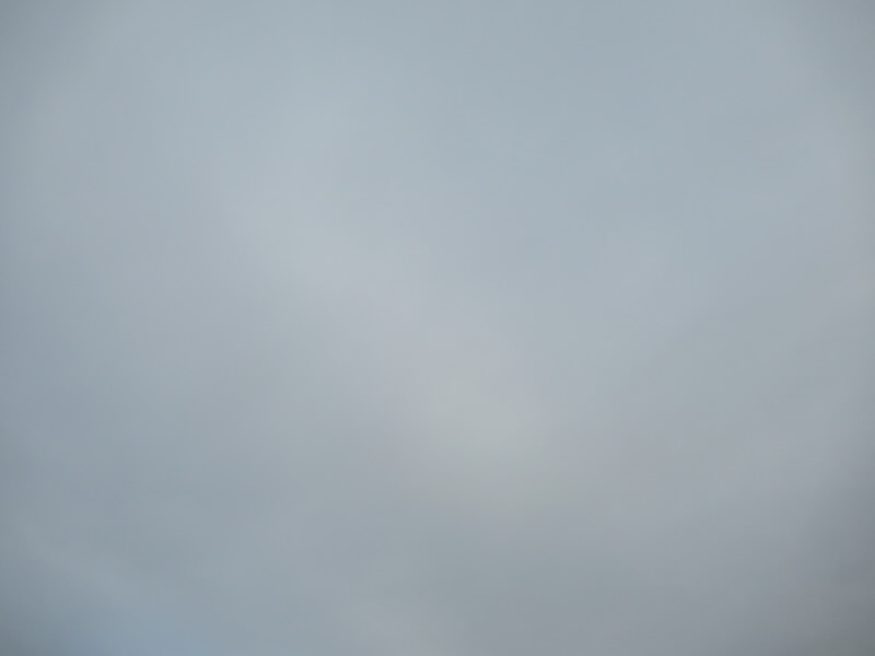 f:id:fjosh524:20220313174537j:plain