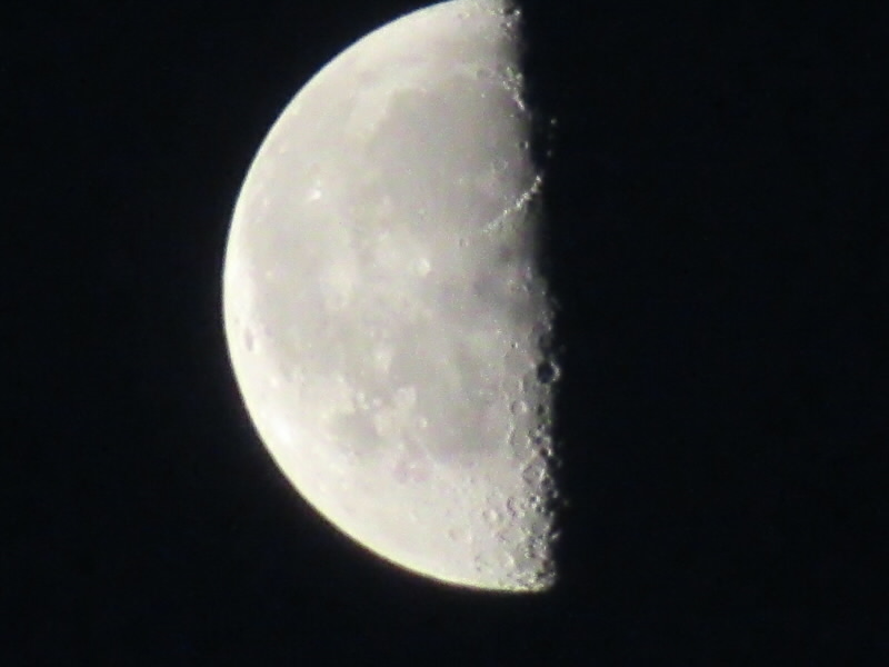 f:id:fjosh524:20220325054518j:plain