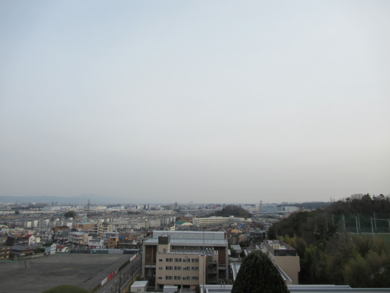 f:id:fjosh524:20220325165129j:plain