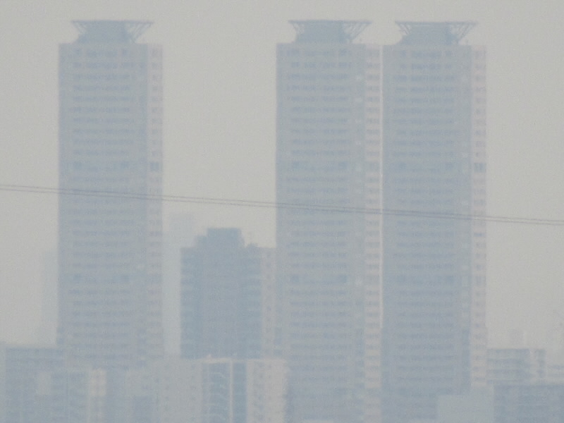 f:id:fjosh524:20220325165141j:plain