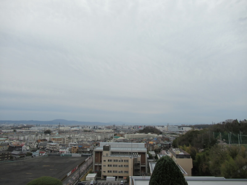 f:id:fjosh524:20220401070606j:plain