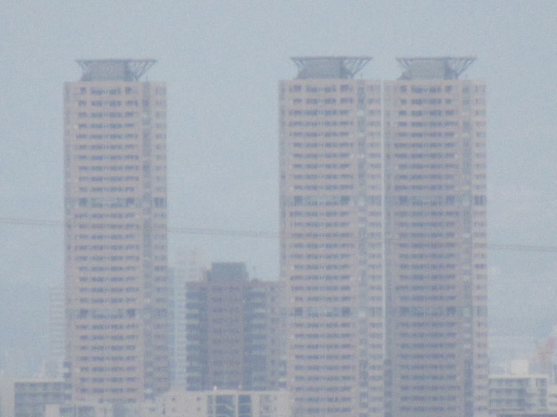 f:id:fjosh524:20220401070618j:plain