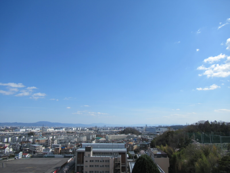 f:id:fjosh524:20220401145946j:plain