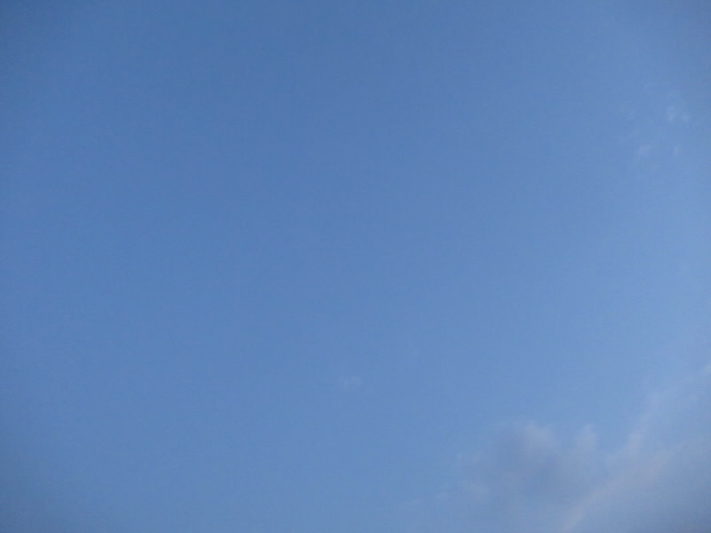 f:id:fjosh524:20220407185125j:plain