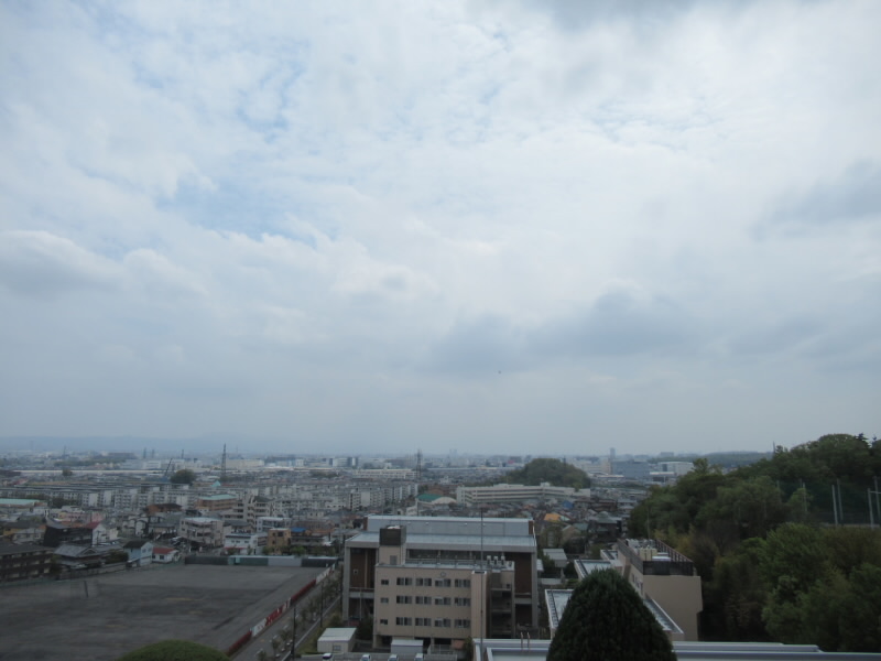 f:id:fjosh524:20220414131647j:plain