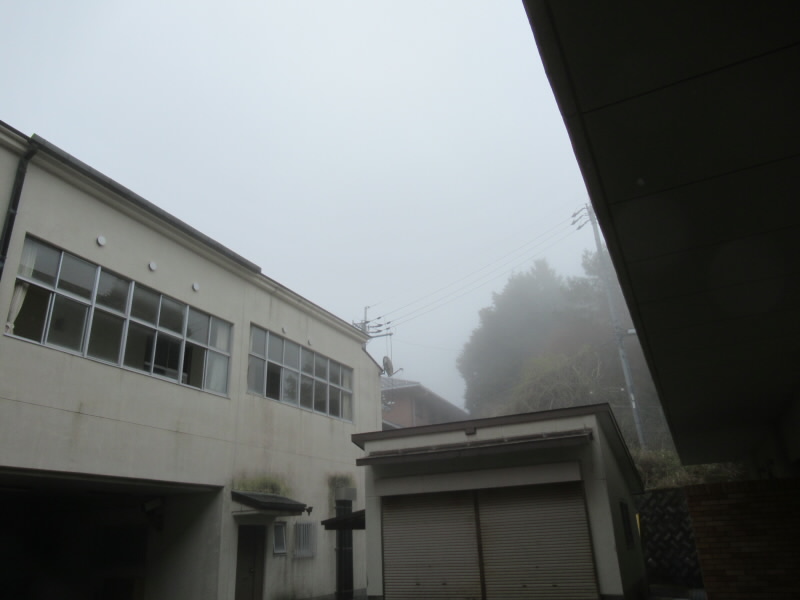 f:id:fjosh524:20220415113727j:plain