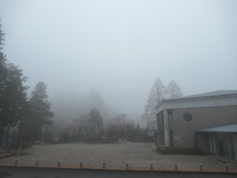 f:id:fjosh524:20220415124522j:plain