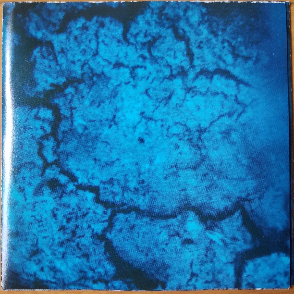FAR BEYOND DRIVEN【PANTERA】 - 30年前のレコード棚