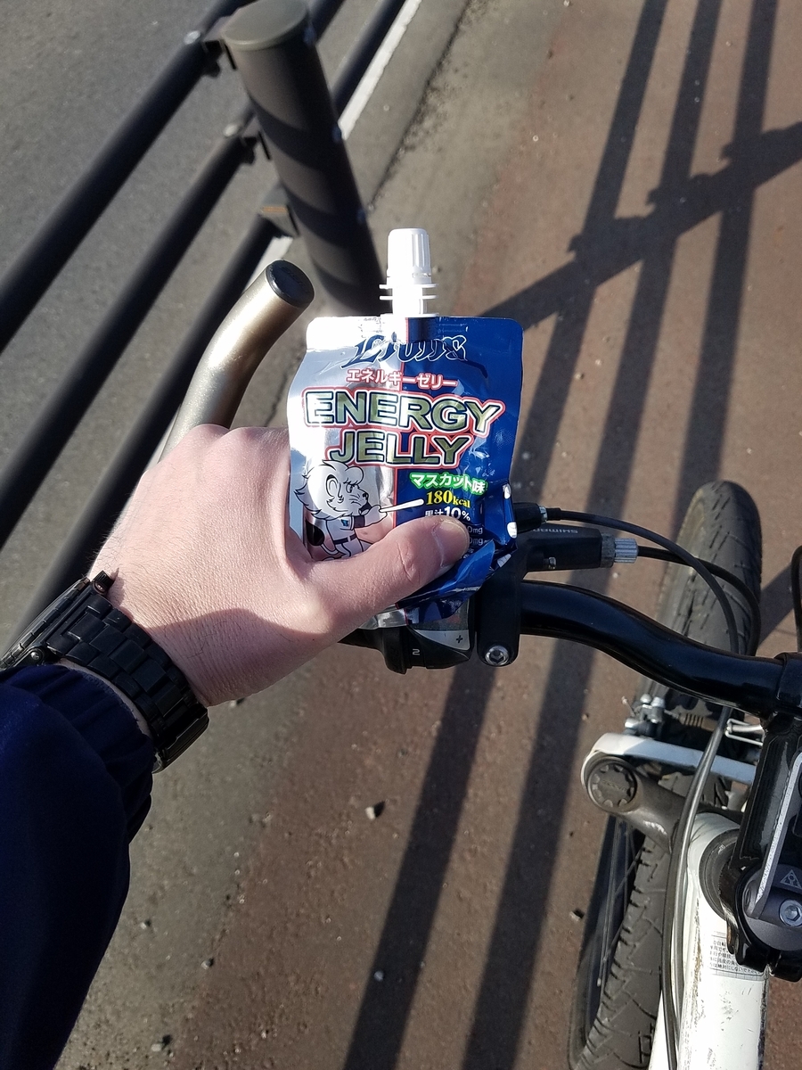 f:id:fk_aosan:20210228100046j:plain