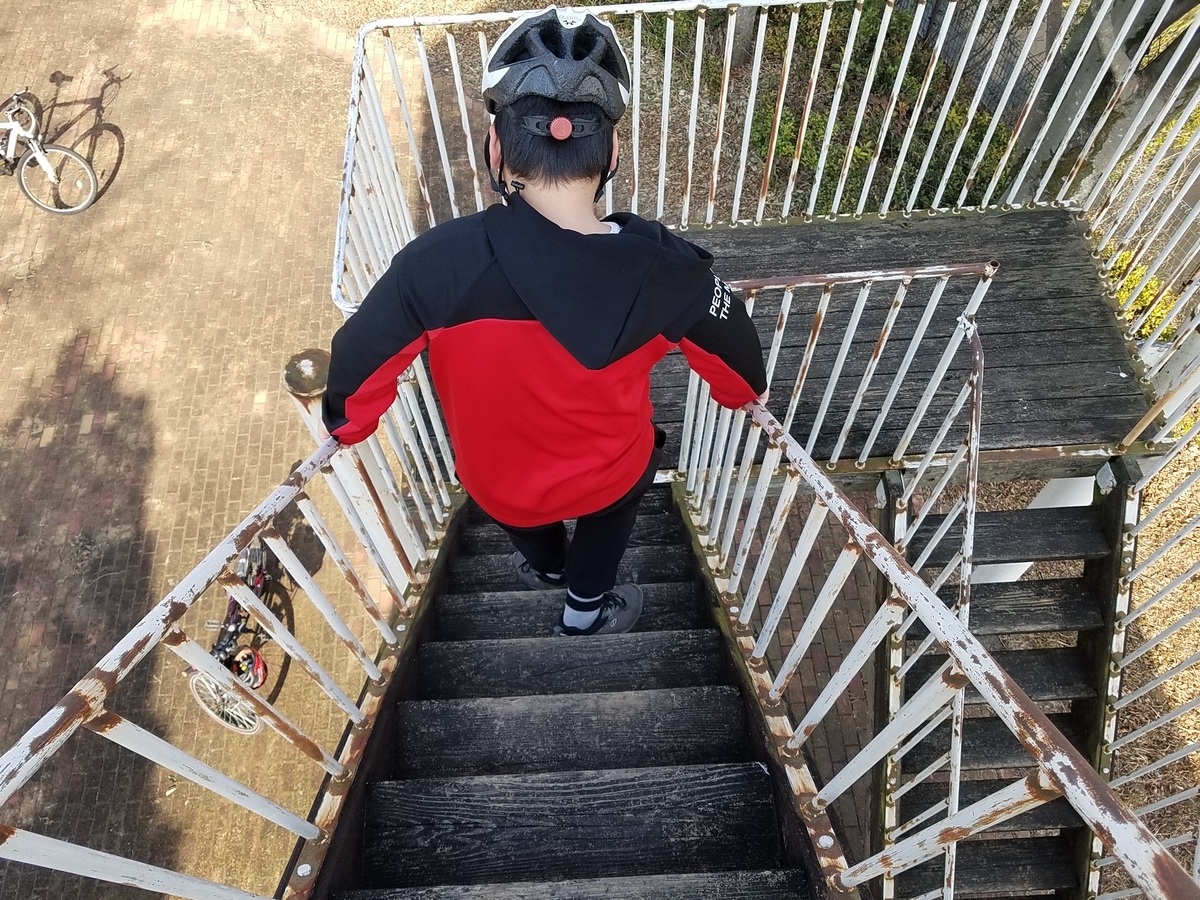 f:id:fk_aosan:20210228104059j:plain