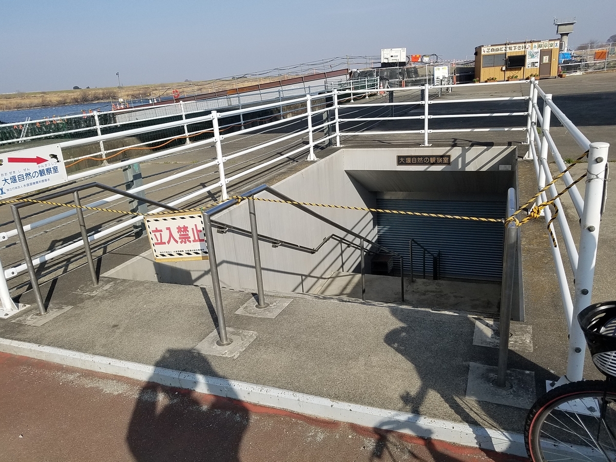 f:id:fk_aosan:20210228110924j:plain