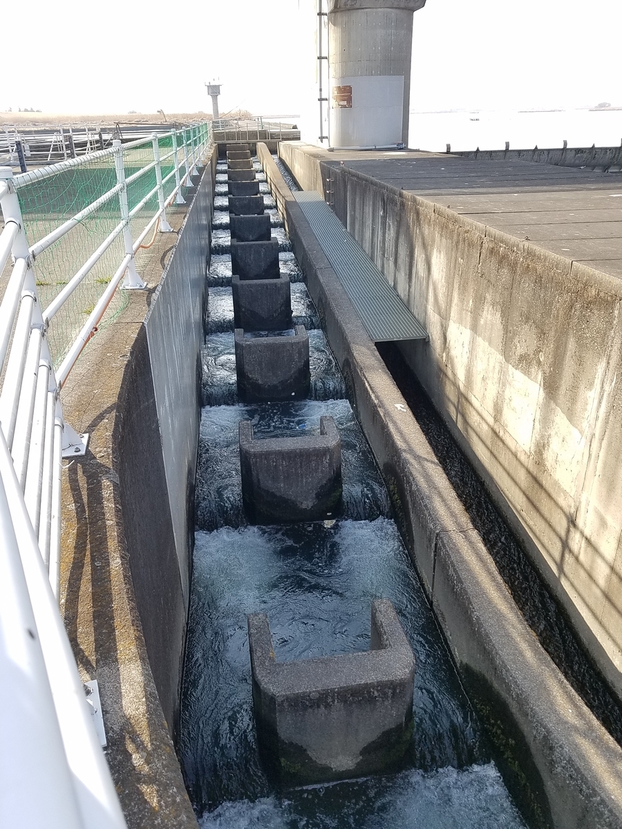 f:id:fk_aosan:20210228111020j:plain