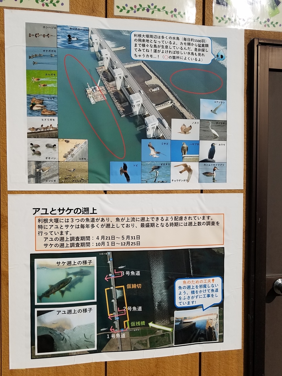 f:id:fk_aosan:20210228111143j:plain