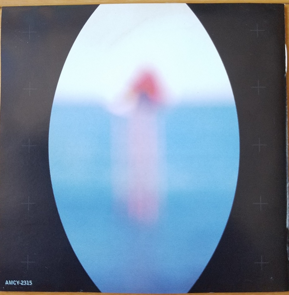 f:id:fk_aosan:20210523125914j:plain