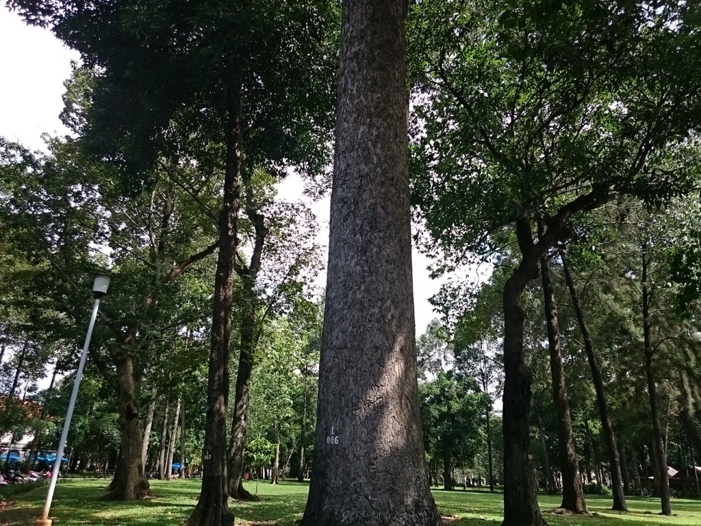 f:id:fkey:20180724181208j:plain f:id:fkey:20180724181208j:plain