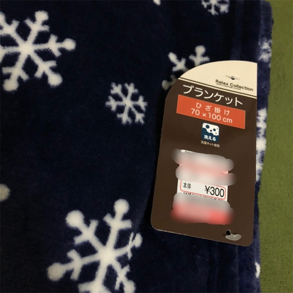 f:id:fkmaru:20201202132731j:plain