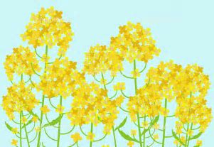 f:id:fkodomo:20190331112442j:plain f:id:fkodomo:20190331112442j:plain