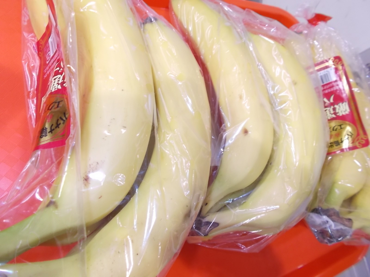 f:id:fkodomo:20190720110312j:plain f:id:fkodomo:20190720110312j:plain